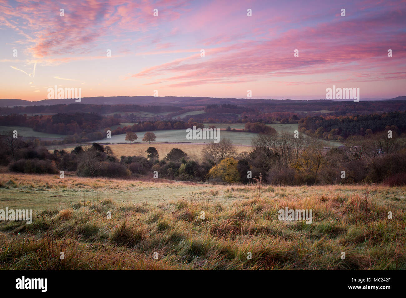 Sunrise on the North Downs at Newlands Corner, Surrey Stock Photo