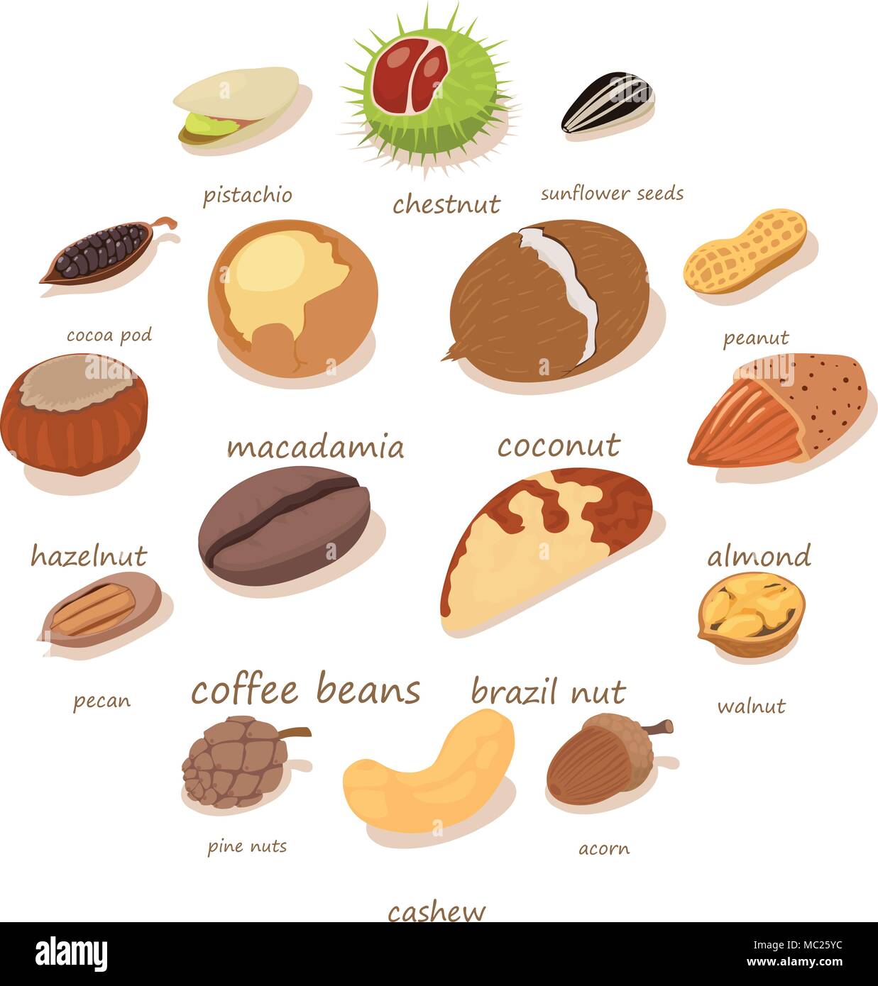 Nuts and seeds icons set, isometric style Stock Vector