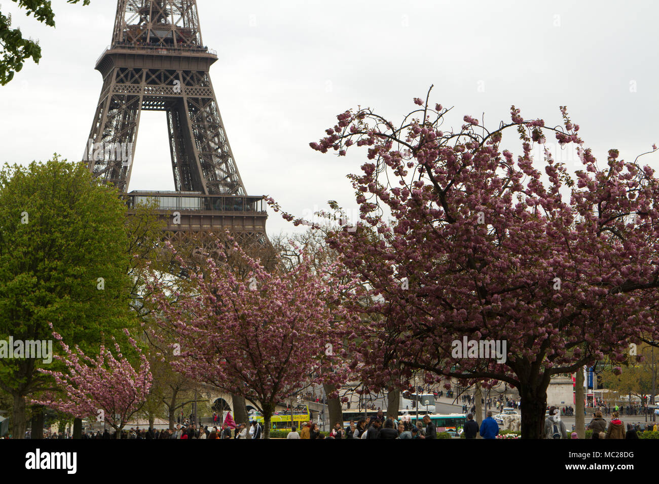 Spring in Paris Stock Photo