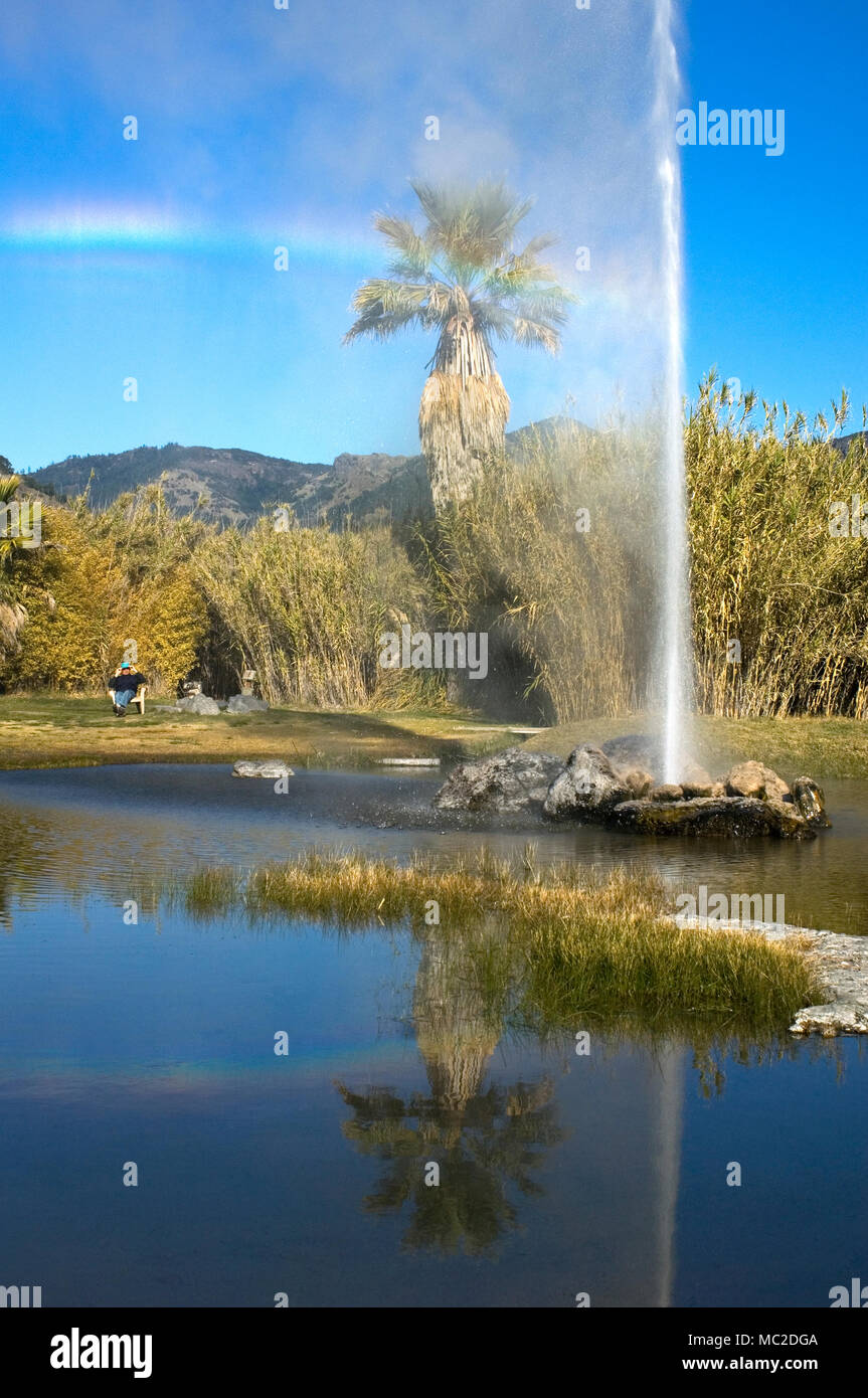 Old Faithful Geyser of California one of only three “faithful” geysers in the world because of its regular eruptions. Stock Photo