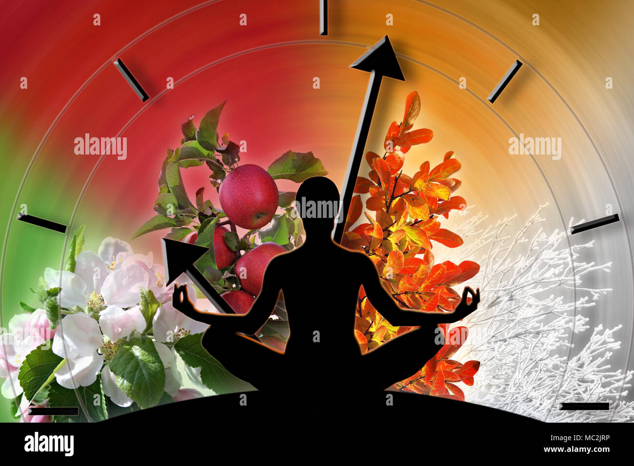 Female yoga figure against collage of pictures representing four seasons of the year. Circle of life concept. Stock Photo