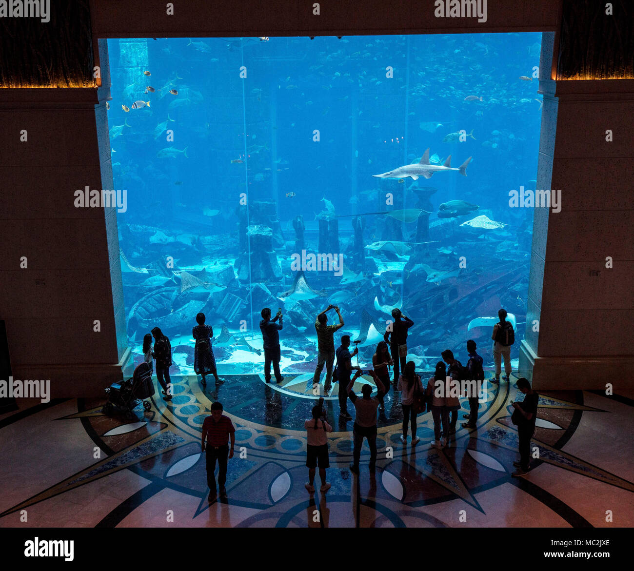 DUBAI UNITED ARAB EMIRATES Stock Photo - Alamy