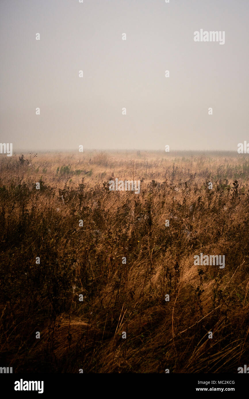 An empty barren field in a fog bound landscape Stock Photo