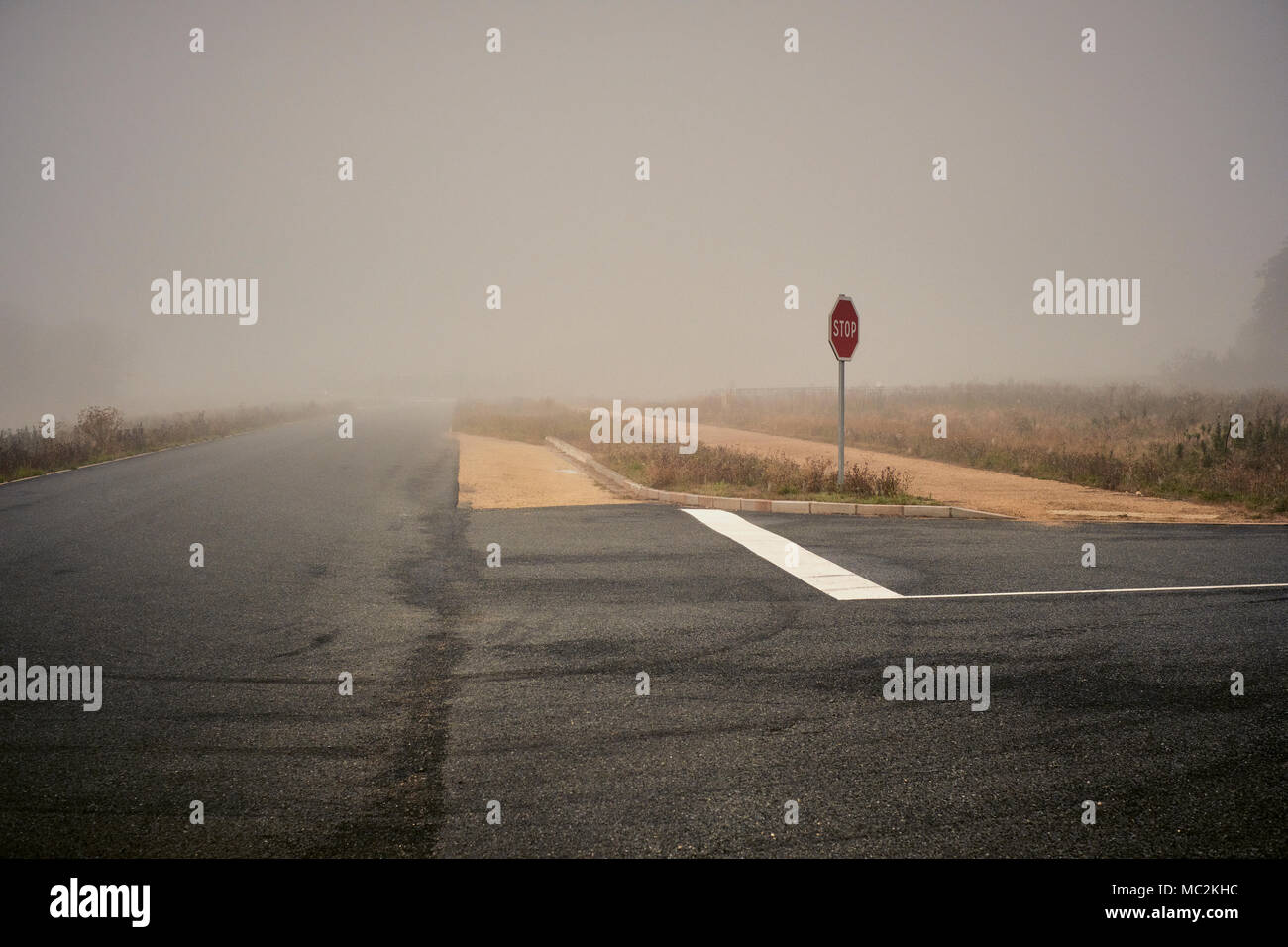 An empty road junction in a foggy landscape Stock Photo