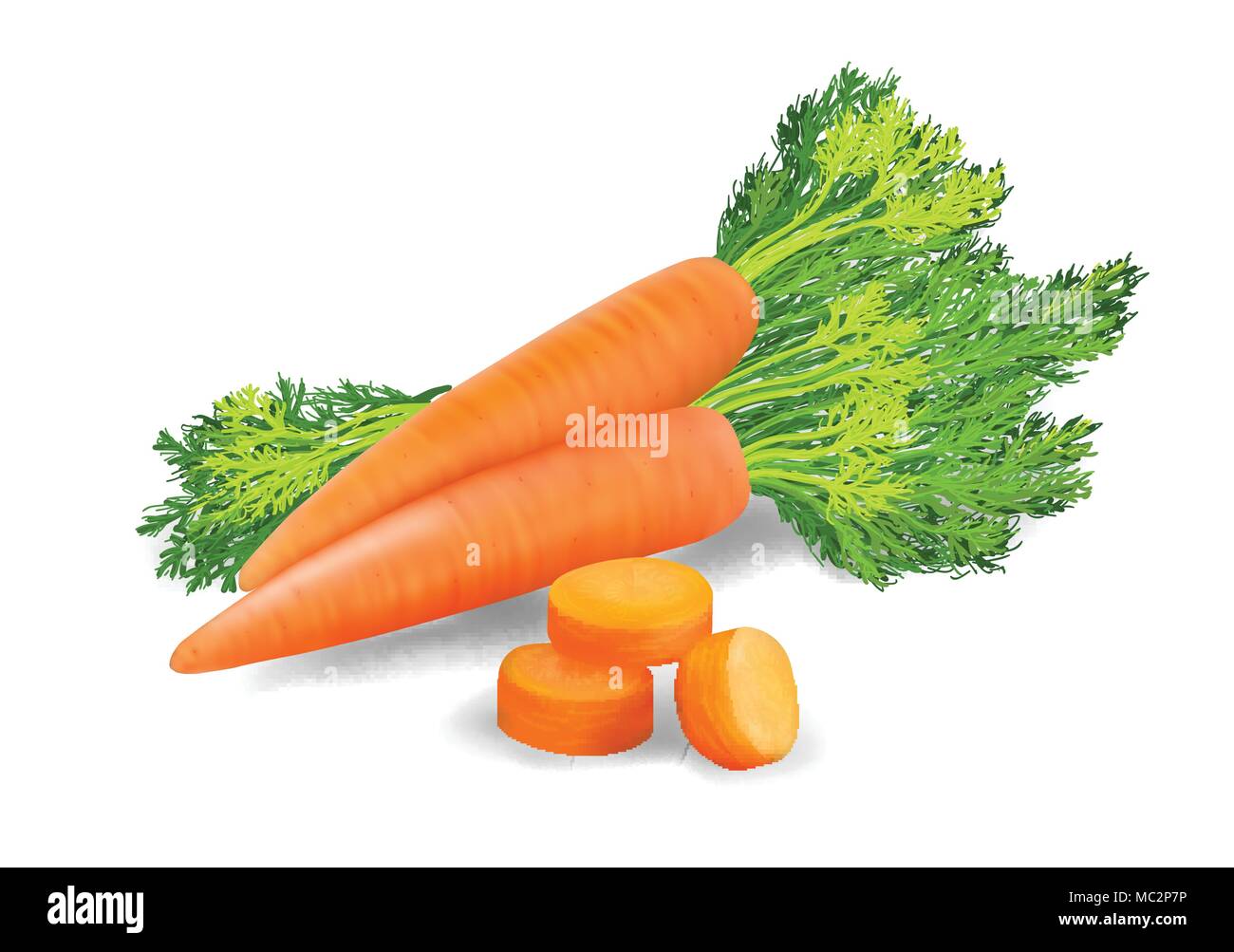 Carrots with leaves. Vector illustration Stock Vector Image & Art Alamy