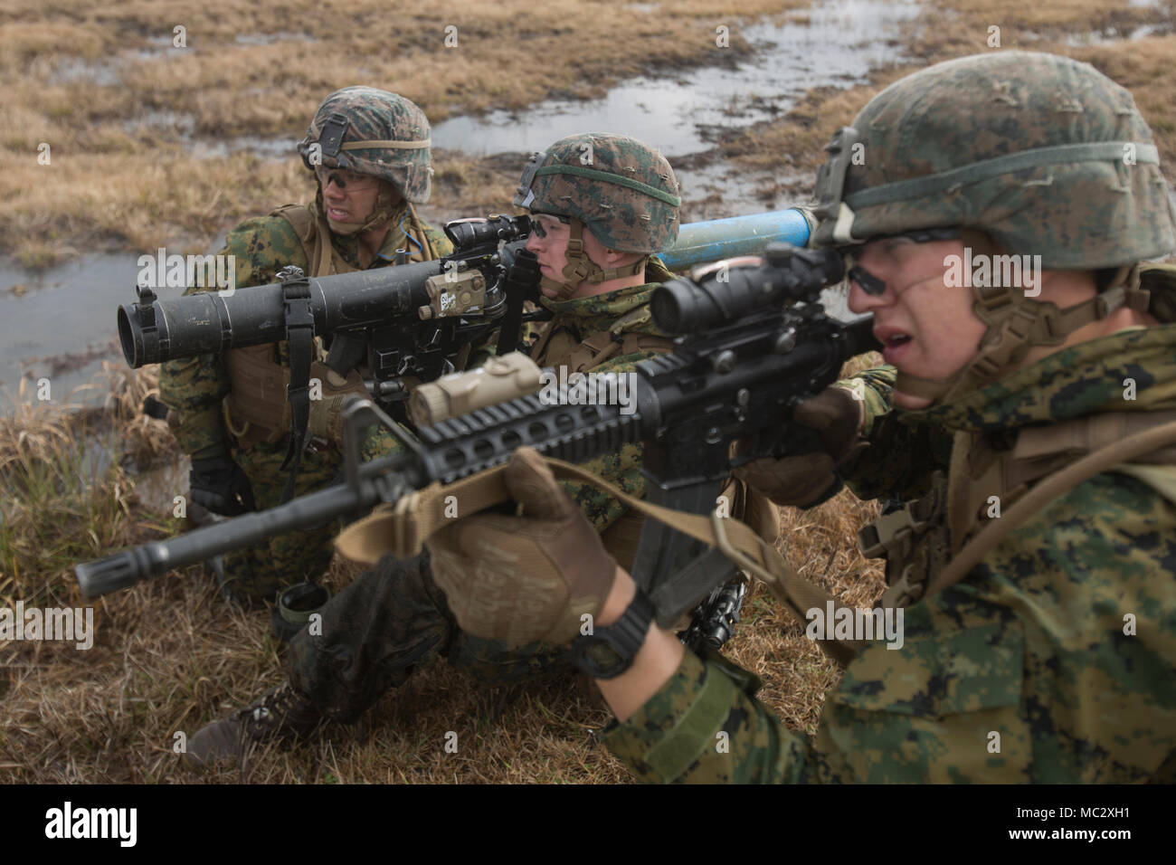 Marines with 1st Battalion, 2nd Marine Regiment, 2nd Marine Division, shoot simulated enemy targets at a platoon live-fire range during a training exercise at Camp Lejeune, N.C., Jan. 23, 2018. The training is meant to maintain proficiency at the squad and platoon-level of warfighting by patrolling, breaching obstacles, and conducting live-fire movements to take an objective. (U.S. Marine Corps photo by Lance Cpl. Ashley McLaughlin) Stock Photo