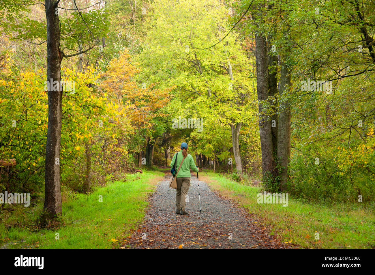 Blue Trail, Collis P Huntington State Park, Connecticut Stock Photo Alamy