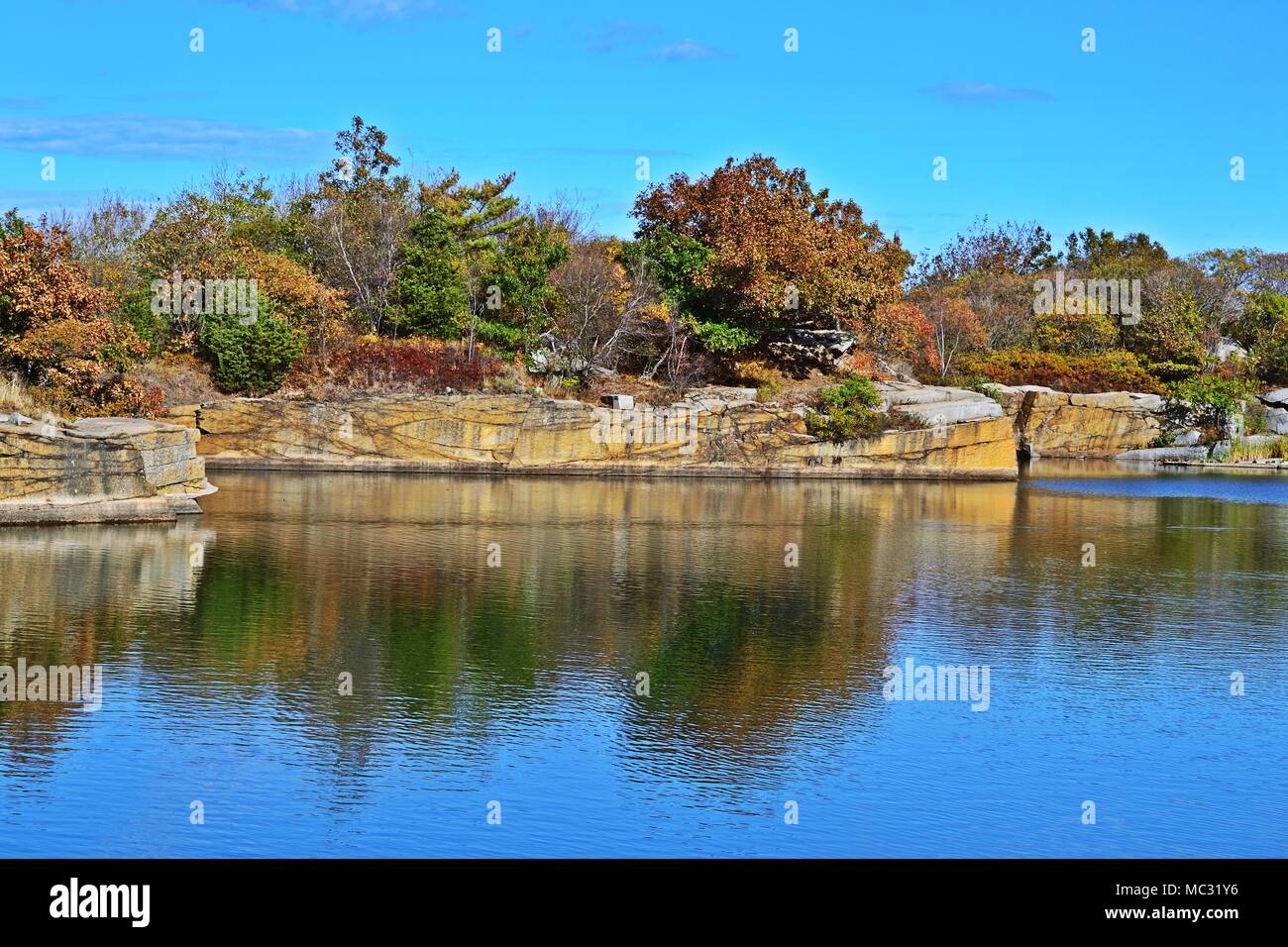 Halibut hires stock photography and images Alamy