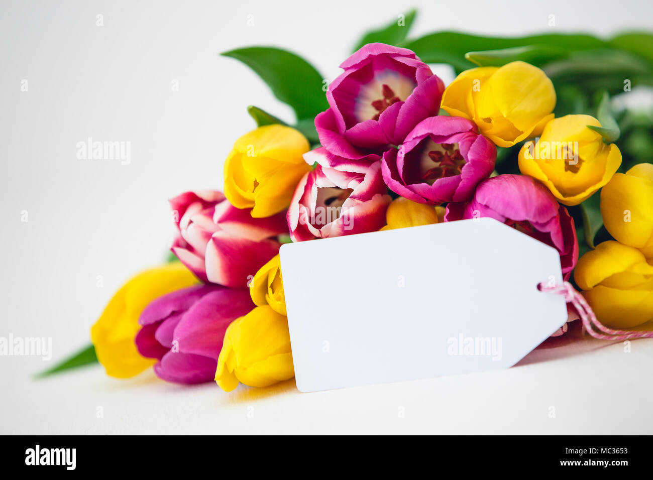 Greeting card - Pink and yellow tulips on a white background Stock ...