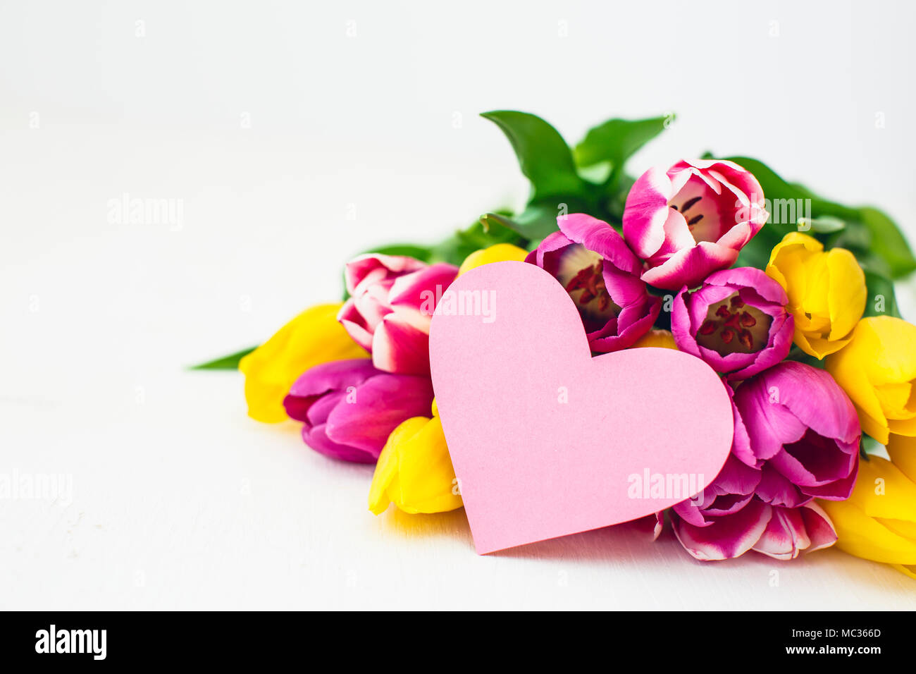 Greeting card - Pink and yellow tulips on a white background Stock ...