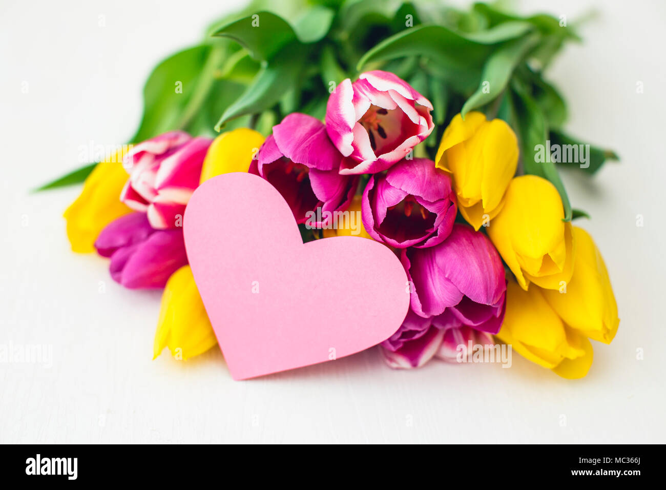 Greeting card - Pink and yellow tulips on a white background Stock ...
