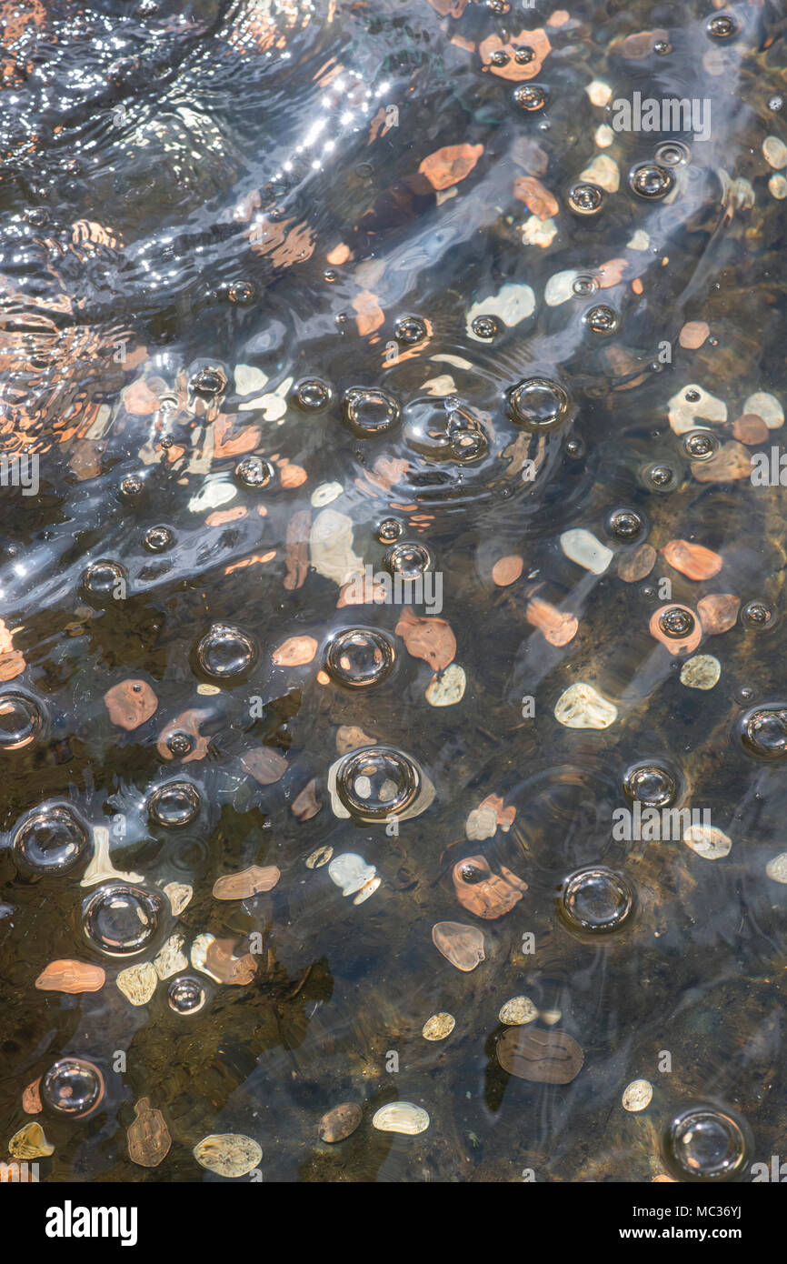 Wish fulfilling water fountain. Coins under water in a garden water