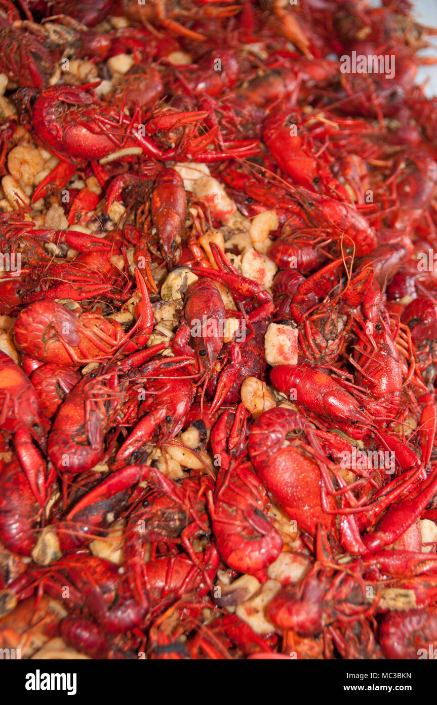 Platter of cooked crawdads Stock Photo