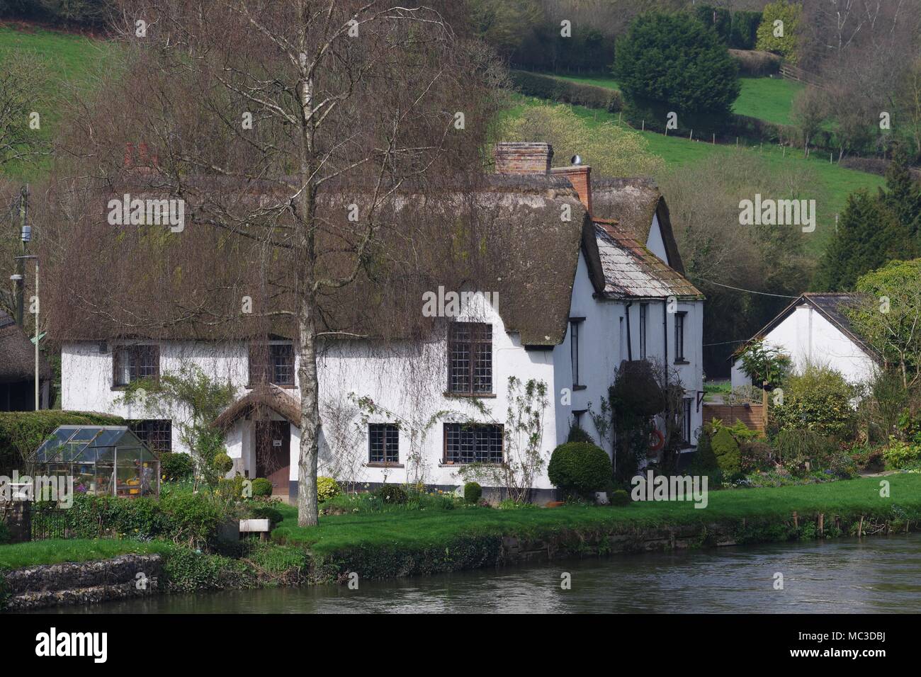 Bickleigh Cottage On The Bank Of The River Exe In Early Spring A