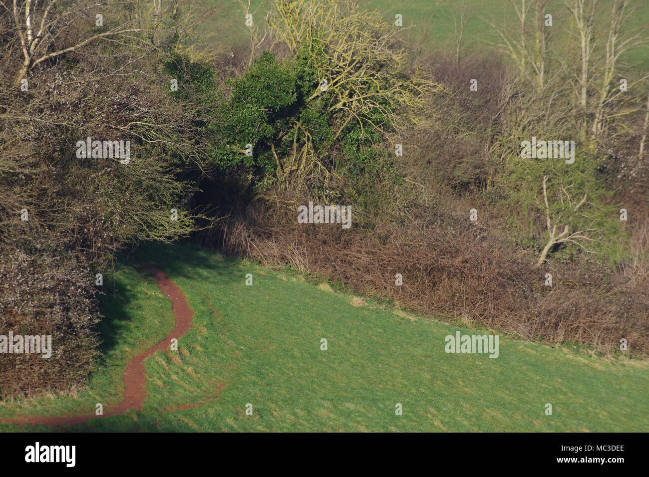 Pathfields Mudge Way Mud Path in a Corner of a Devon Pasture Field, Flanked by Hedgerows ...