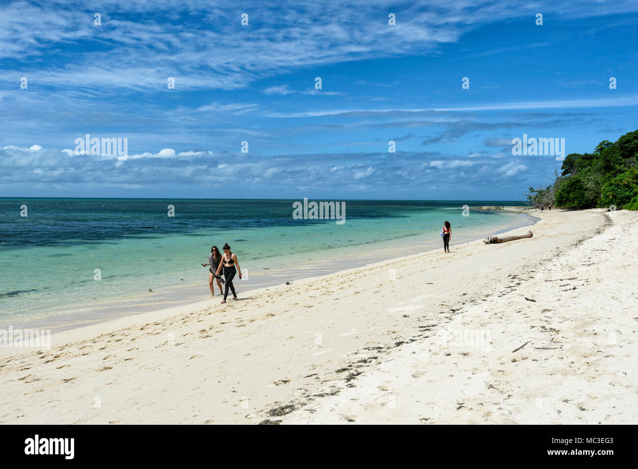Scenic sandy beach on Green Island, Great Barrier Reef Marine National Park, Far North Queensland, QLD, FNQ, GBR, Australia Stock Photo
