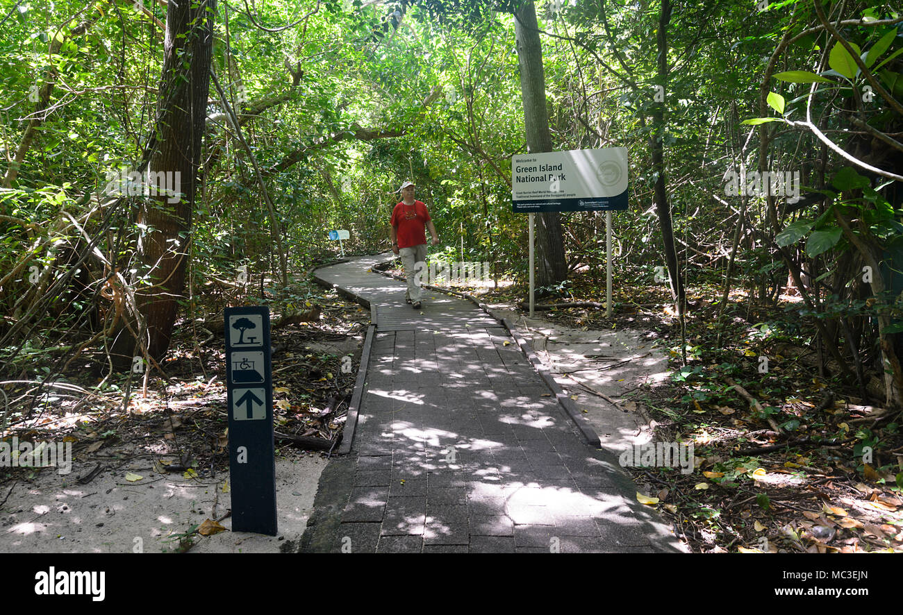 Tourist Walking On The Boardwalk Through The Rainforest At - 