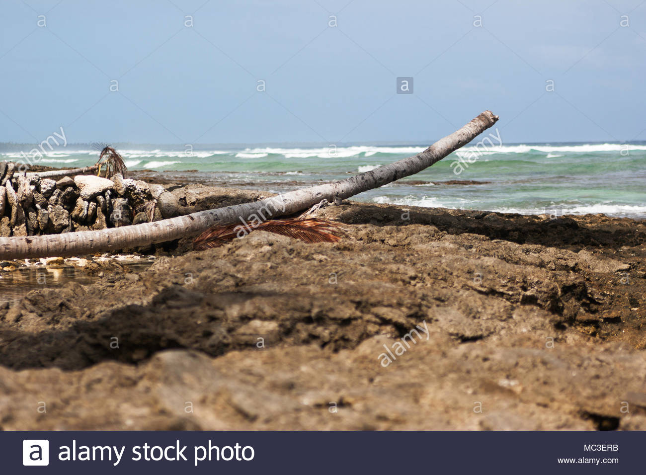 Butaritari Stock Photos & Butaritari Stock Images Alamy