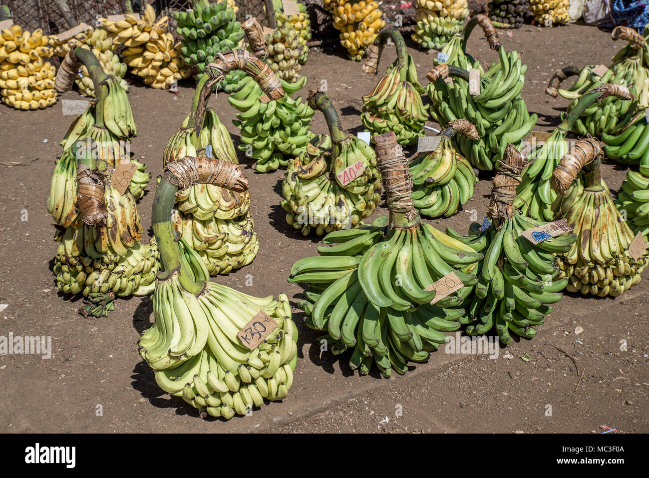 Bananas on display at the food market, Goroka, Eastern Highlands