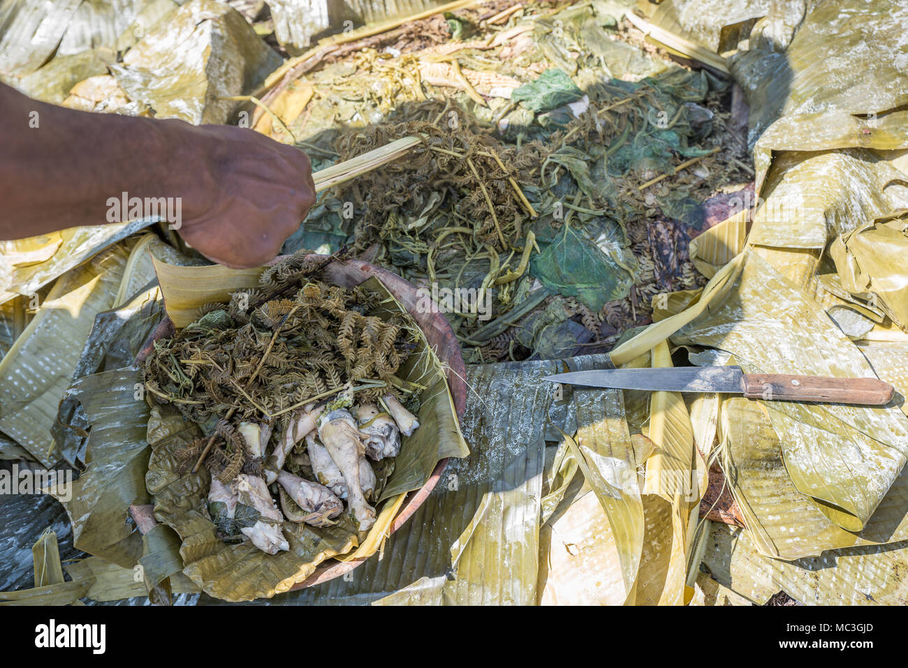 Preparation Of Typical Papuan Dish Called Mumu Goroka Area Eastern Highlands Province Papua New Guinea Stock Photo Alamy