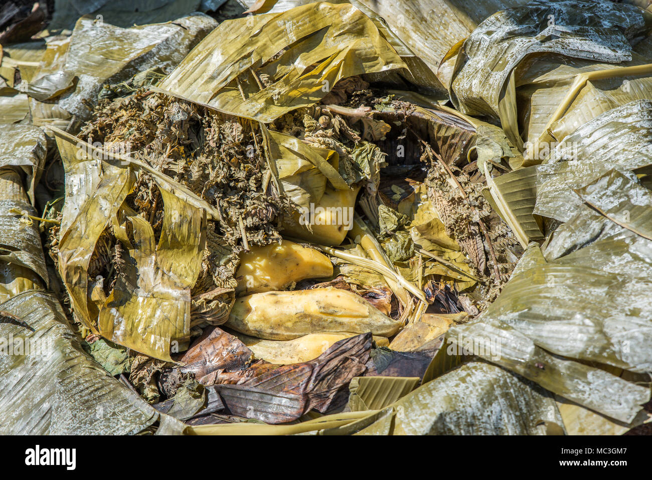 picture Mumu Papua New Guinea Food https www alamy com preparation of typical papuan dish called mumu goroka area eastern highlands province papua new guinea image179558519 html