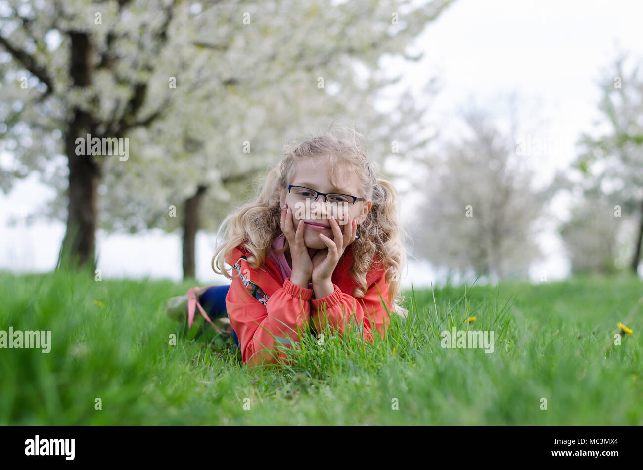 adorable blond girl lying in green grass under trees with blossoming white flowers in spring season Stock Photo