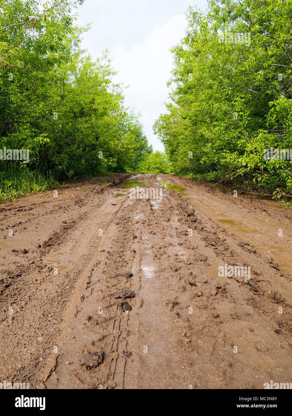 Wet muddy country road, A country road with ruts and puddles, spring Stock Photo