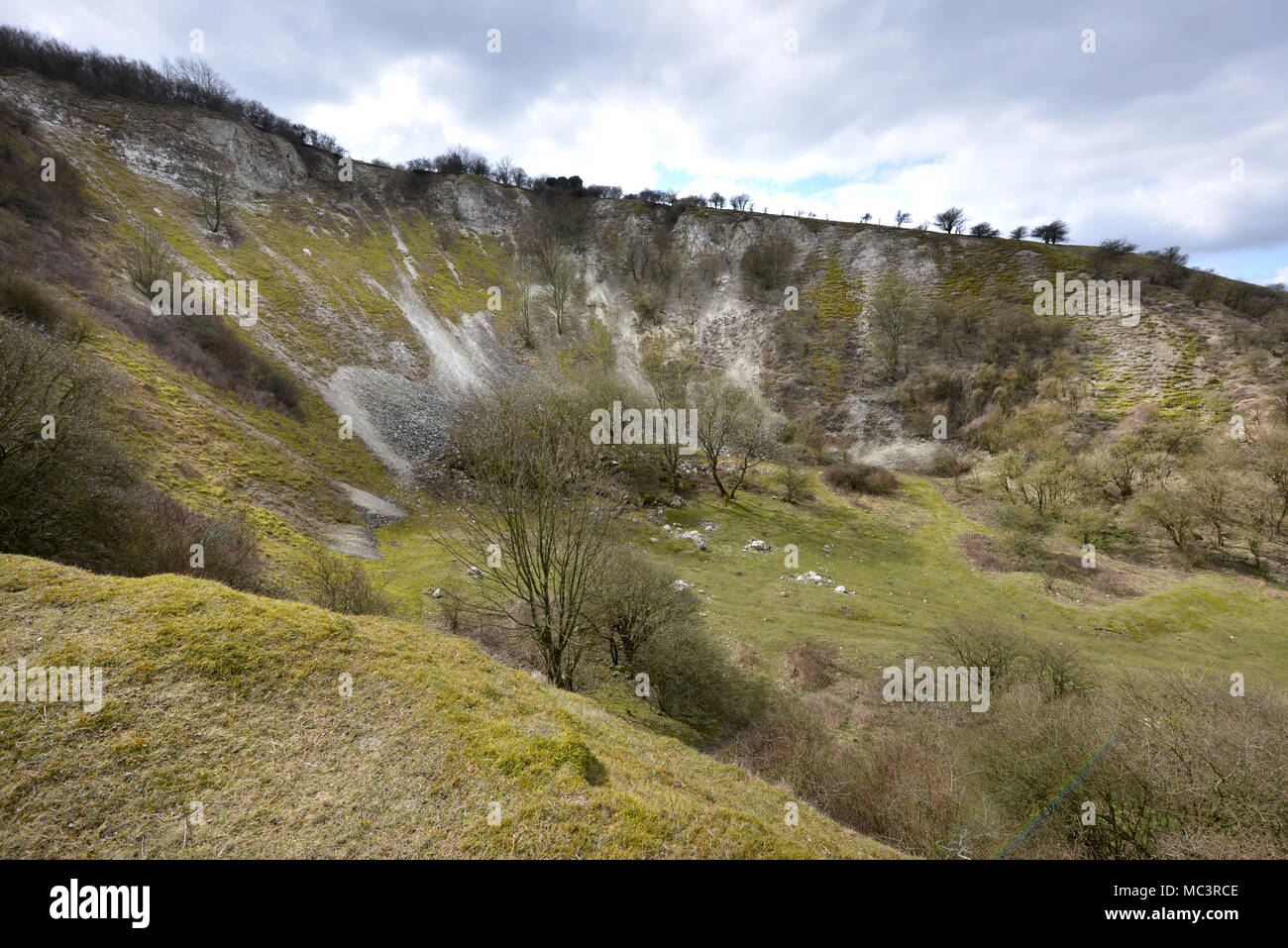 Old chalk pits in Malling Down nature reserve in the South Downs National Park, Lewes, East Sussex, UK Stock Photo