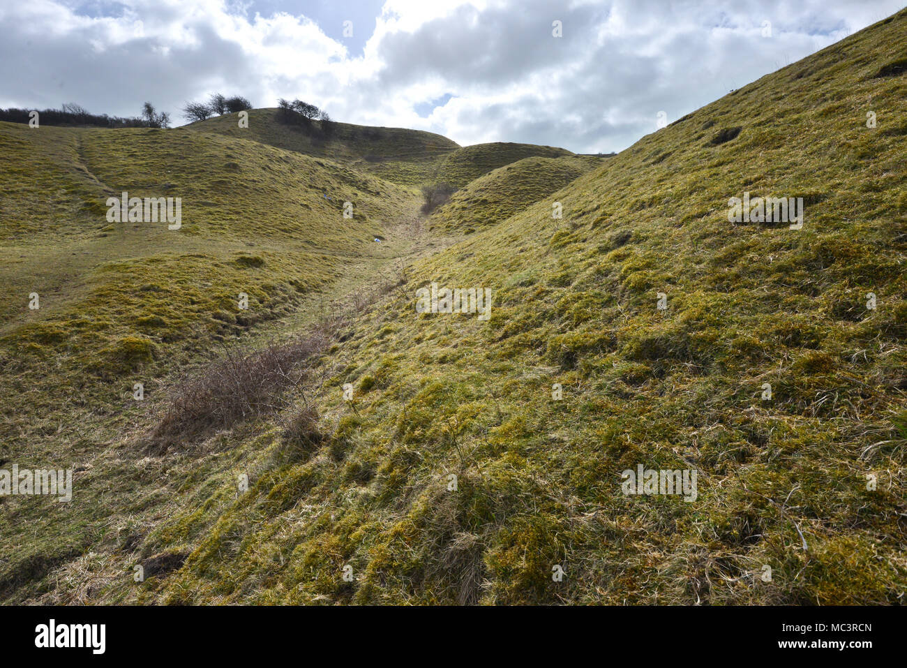 Old chalk pits in Malling Down nature reserve in the South Downs National Park, Lewes, East Sussex, UK Stock Photo