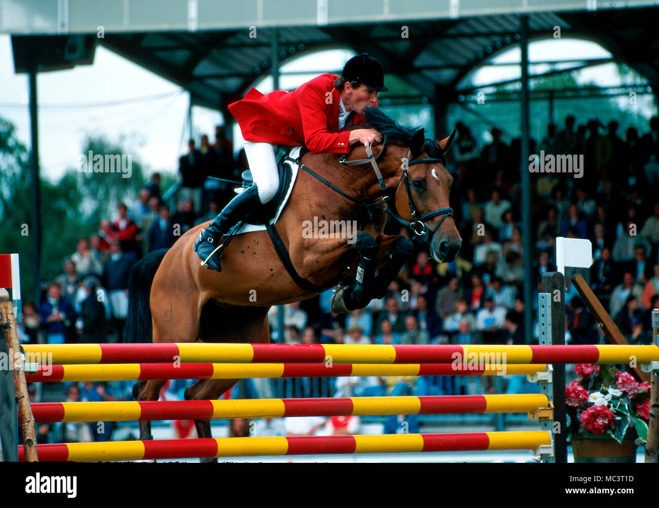 CHIO Aachen June 1996, Ludger Beerbaum (GER) riding Sprehe Ratina Z Stock Photo