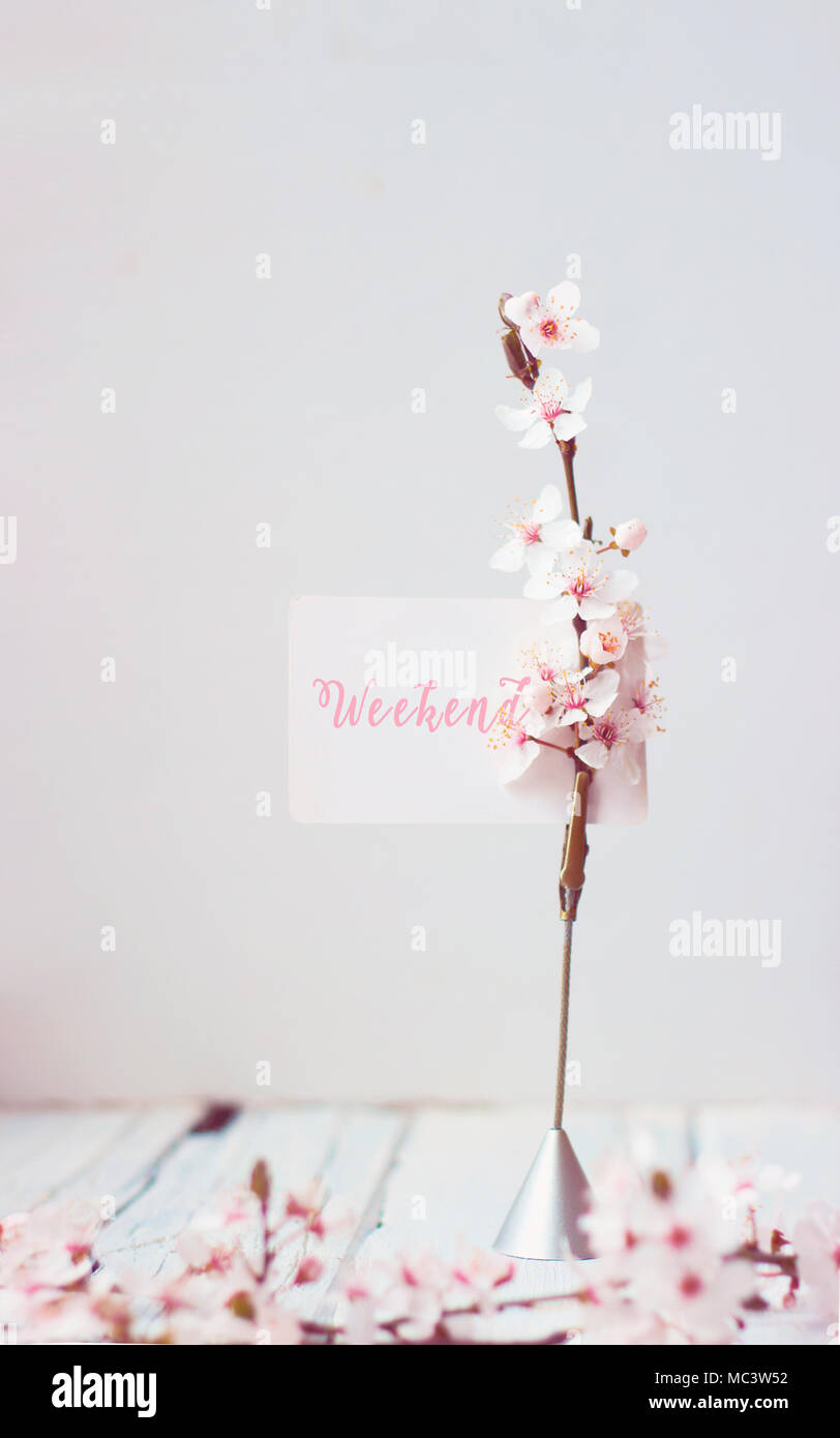 White morning card with flowers hires stock photography and images Alamy