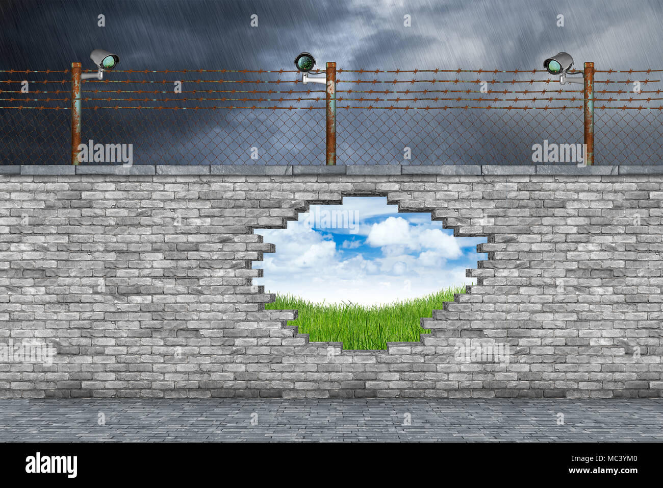 fake news concept hole in border wall showing the truth green grass