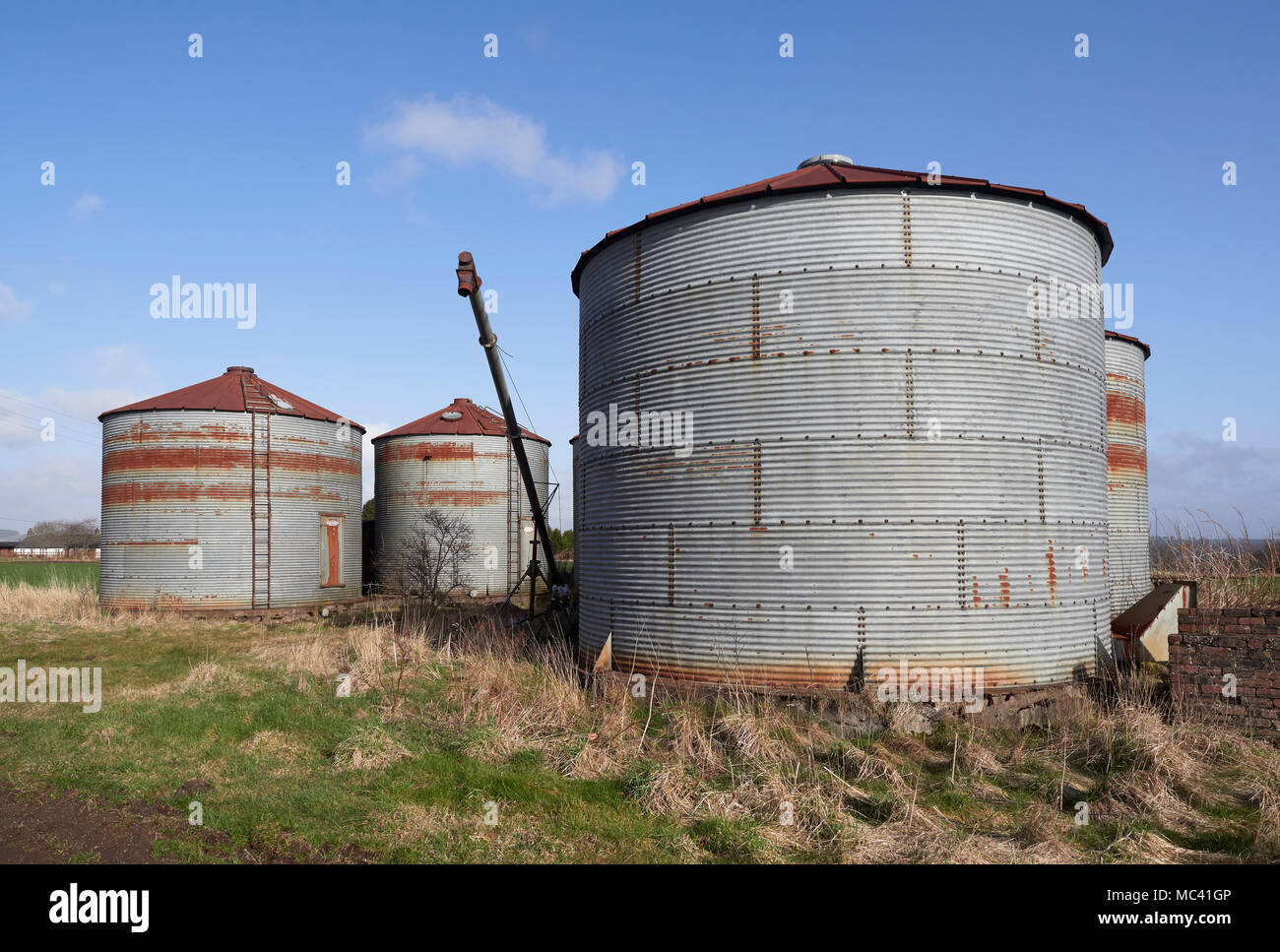 A group of Old and unused 1940's style Corrugated metal Silo's beside a  rural minor road near Gardyne, Letham in Angus Scotland Stock Photo - Alamy
