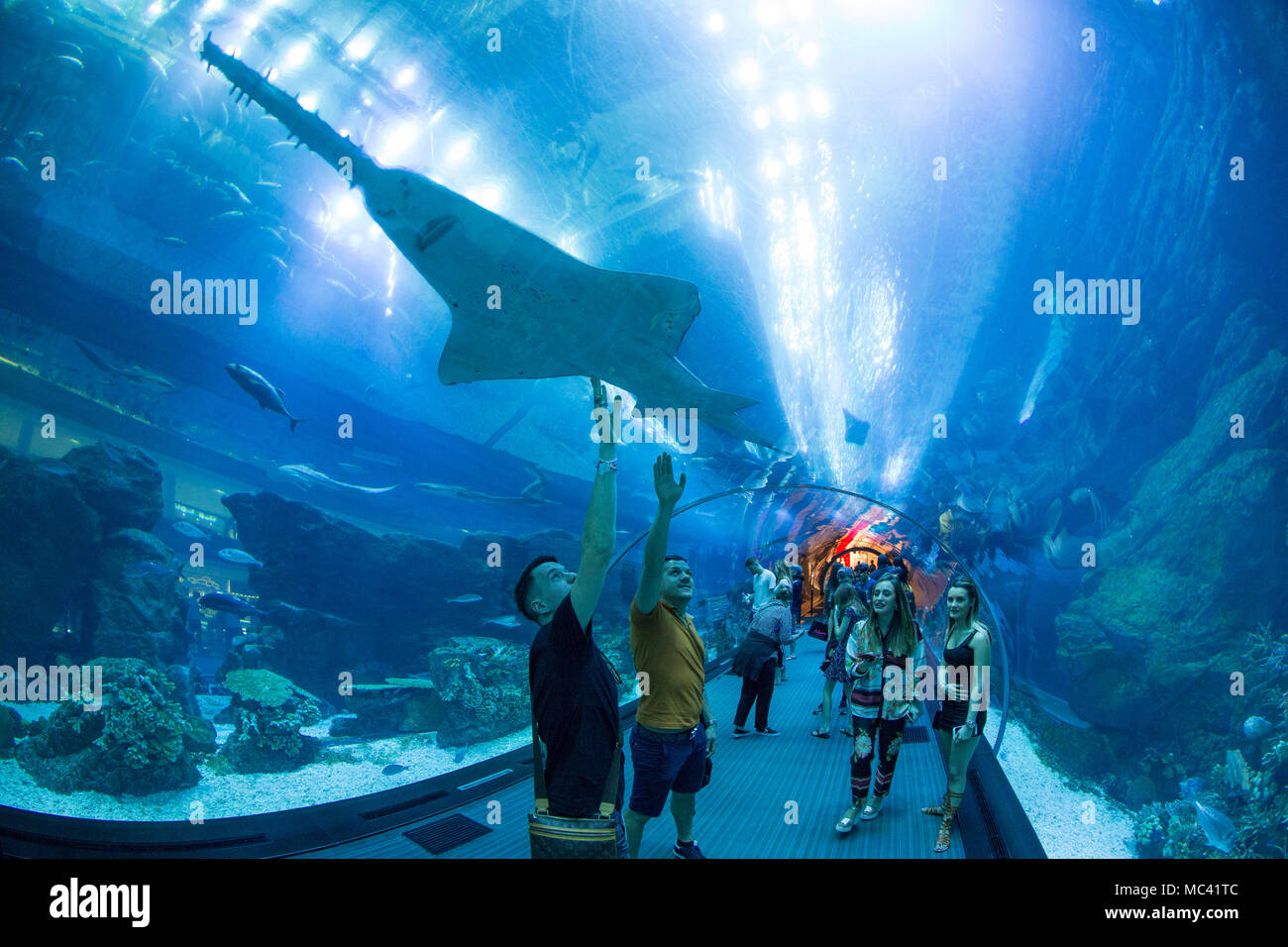 The Lost Chambers Aquarium, tourists, Dubai Stock Photo: 179568828 - Alamy