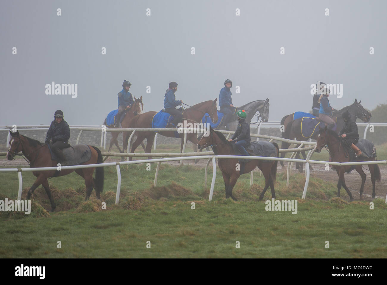 Middleham Horses High Resolution Stock Photography And Images Alamy