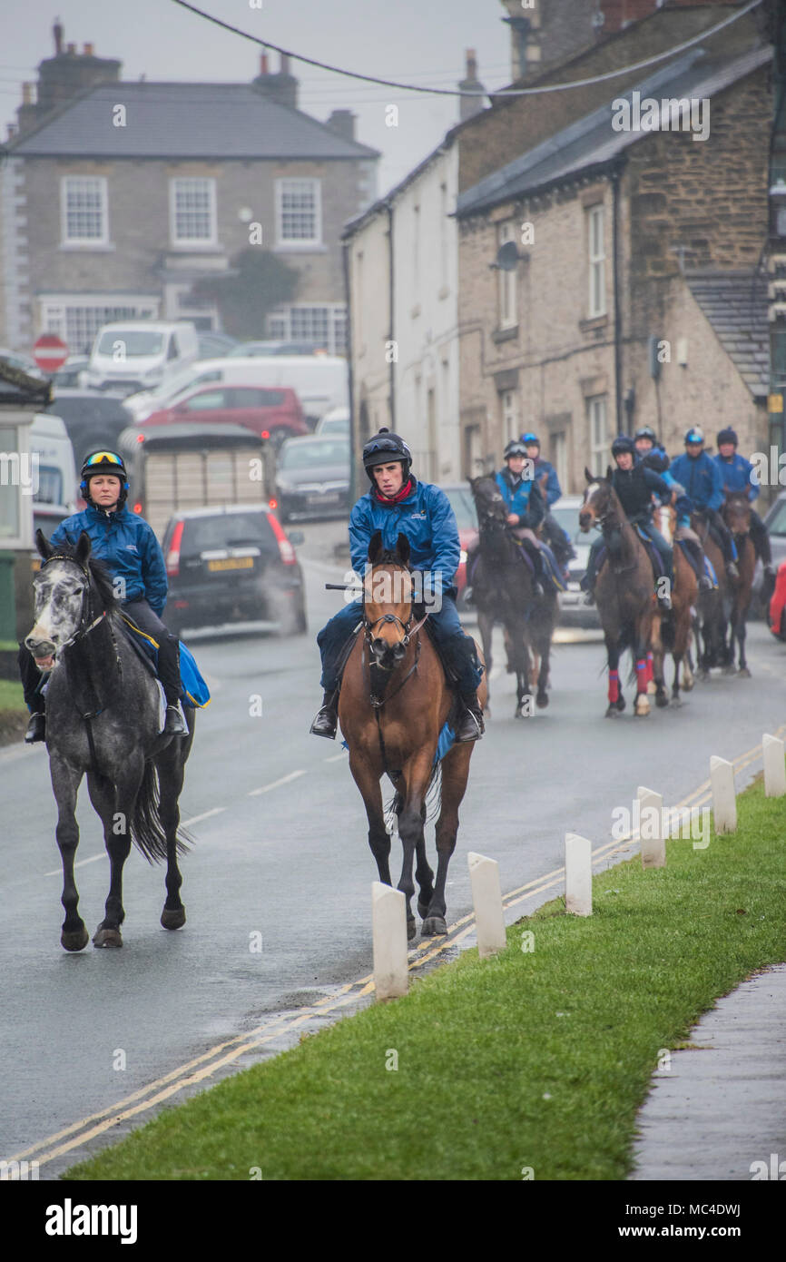 Middleham Horses High Resolution Stock Photography And Images Alamy