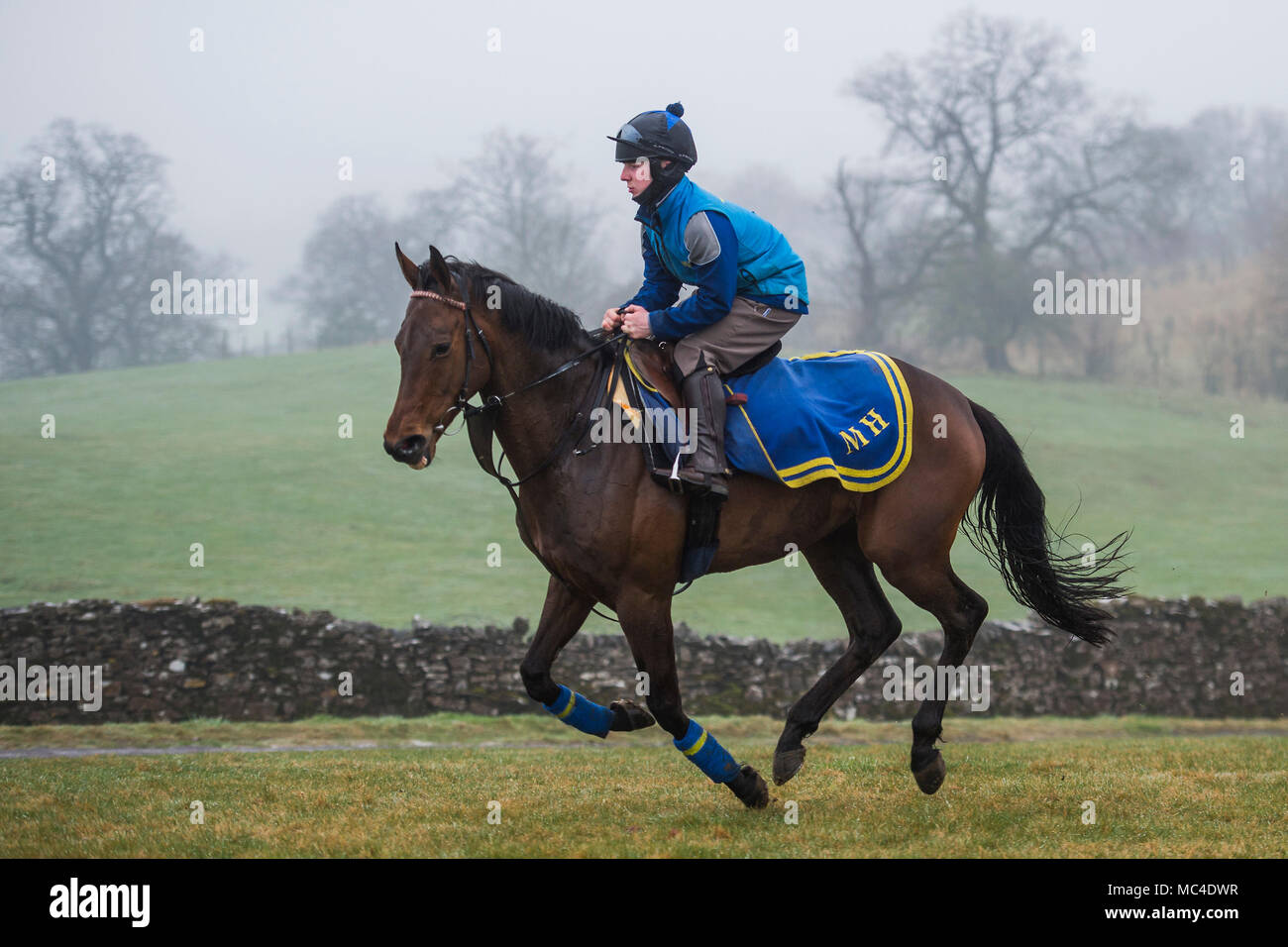 Middleham Horses High Resolution Stock Photography And Images Alamy