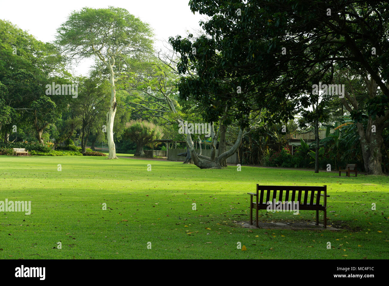 Durban, KwaZuluNatal, South Africa, green lawns with benches in open