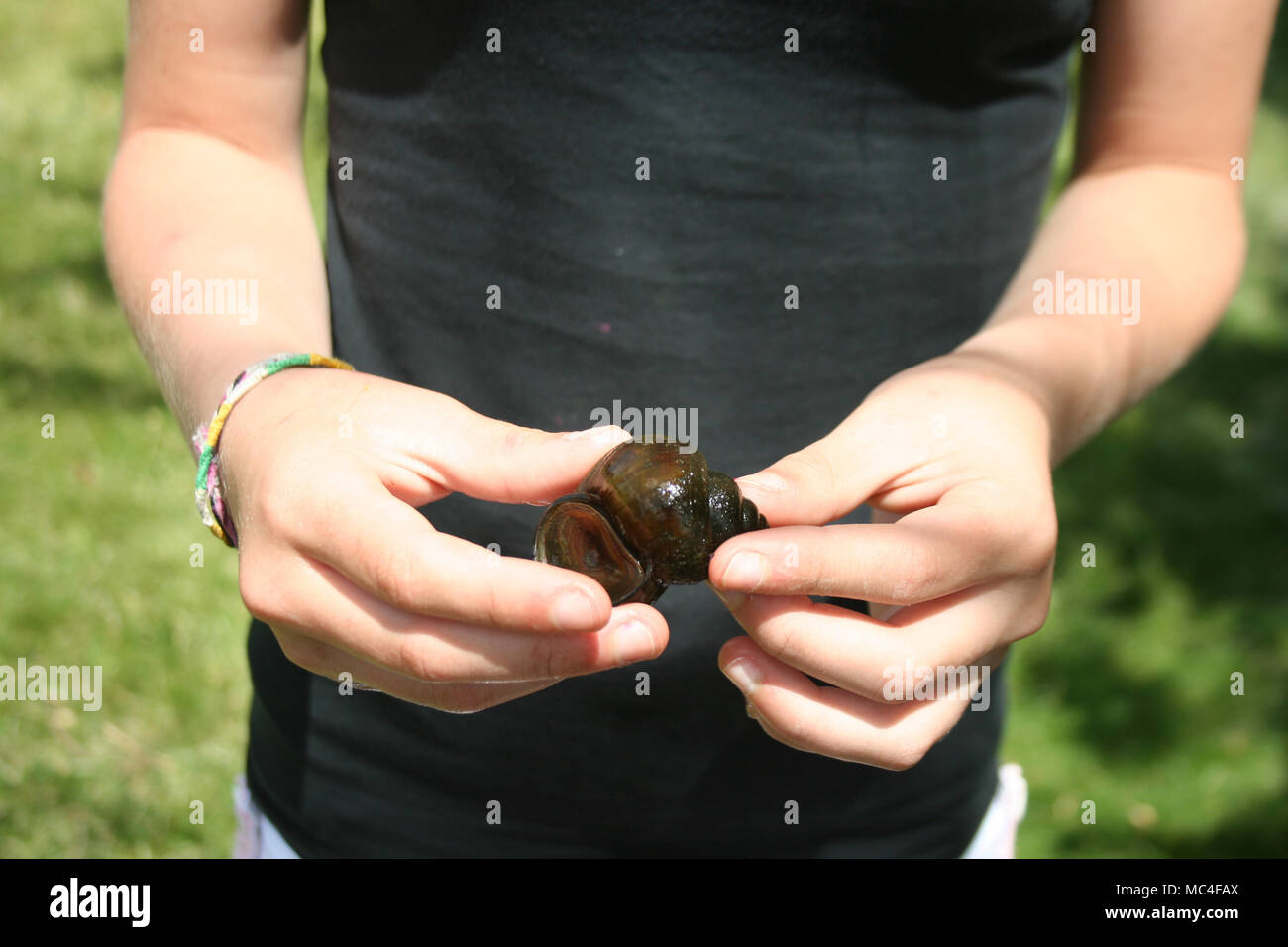 Teenage Girl Holding Snail Stock Photo