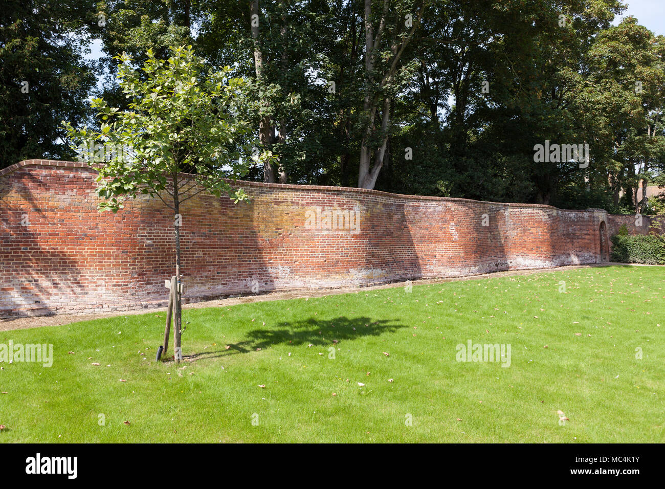 Crinkle crankle wall. Stock Photo
