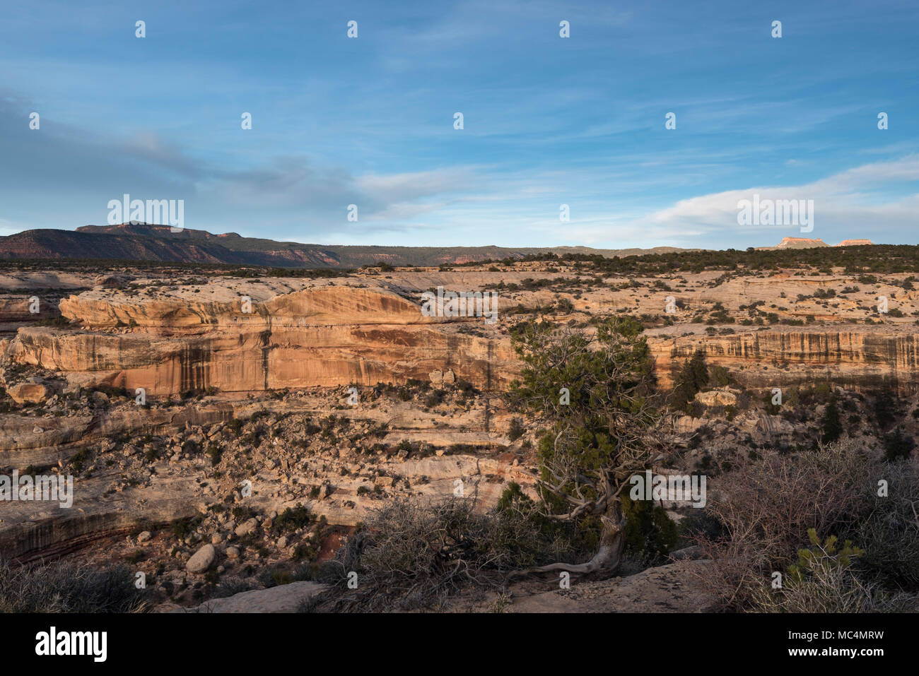 Natural Bridges National Monument in Utah Natural Bridges National Monument in Utah Stock Photo