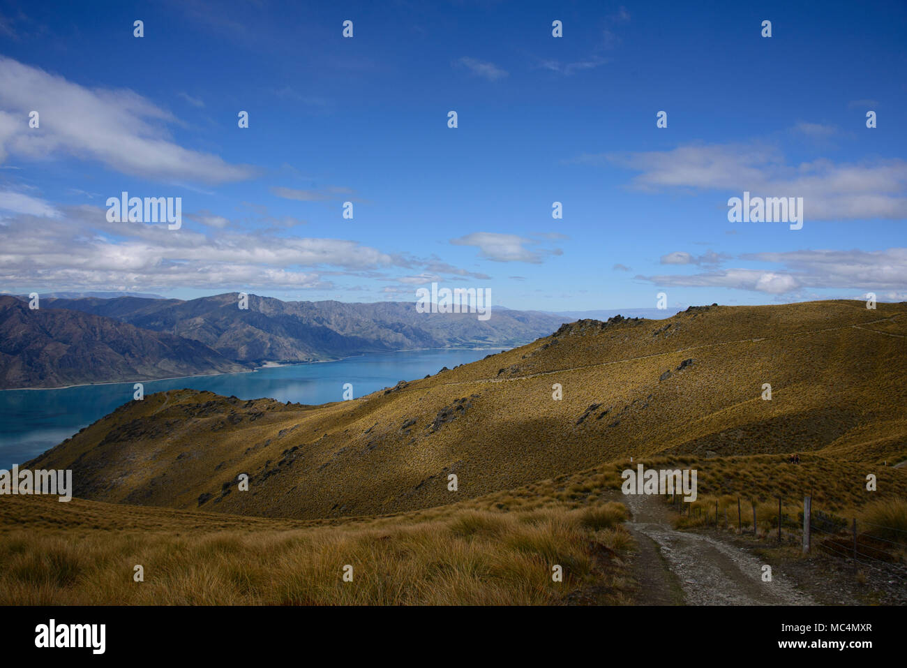 Trekking to Isthmus Peak Track near Wanaka, Otago, New Zealand Stock Photo