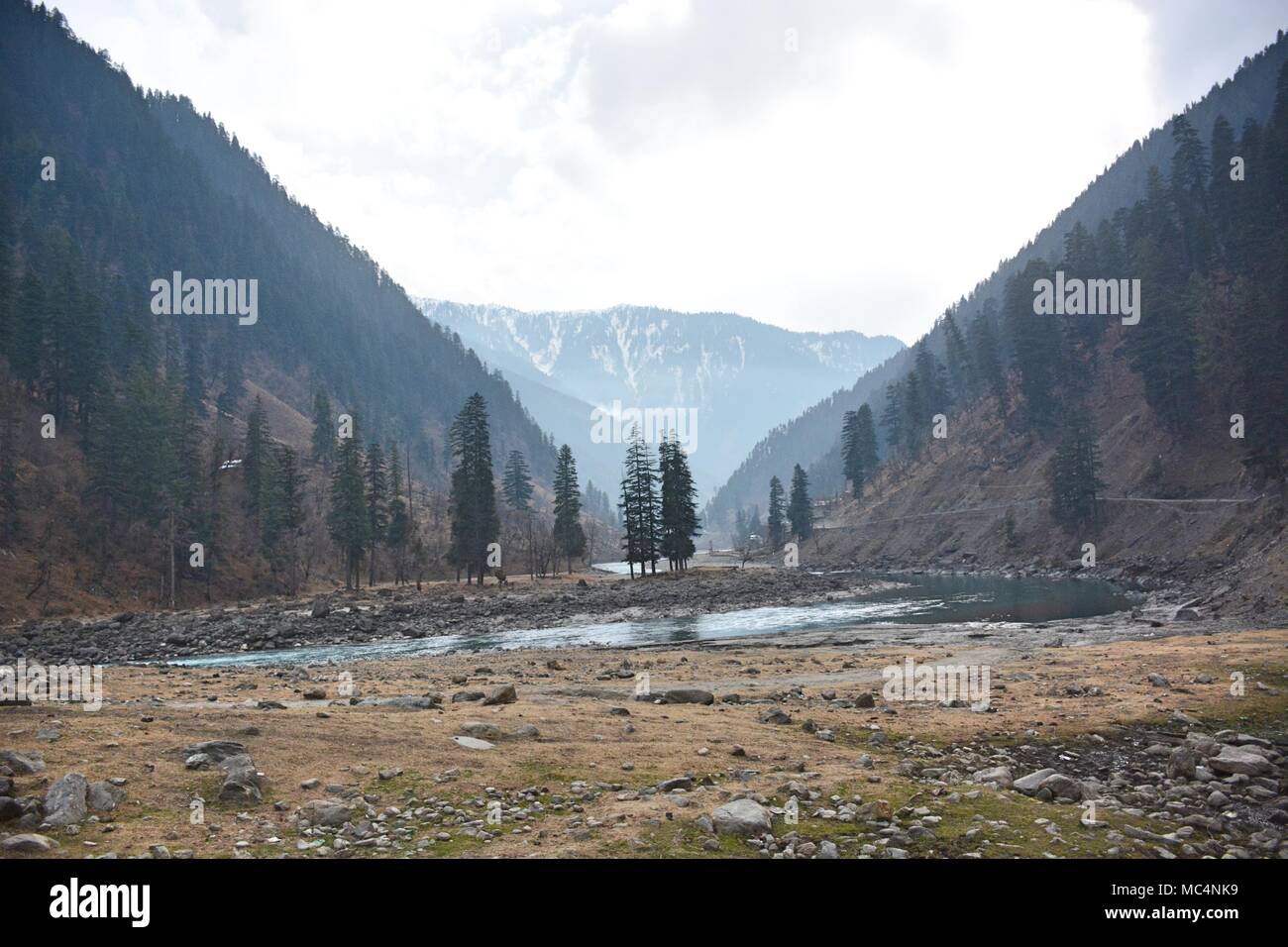 kashmir wallpaper high resolution stock photography and images alamy https www alamy com fir trees at the river bed with snow capped mountains in the background kashmir landscape image179584365 html