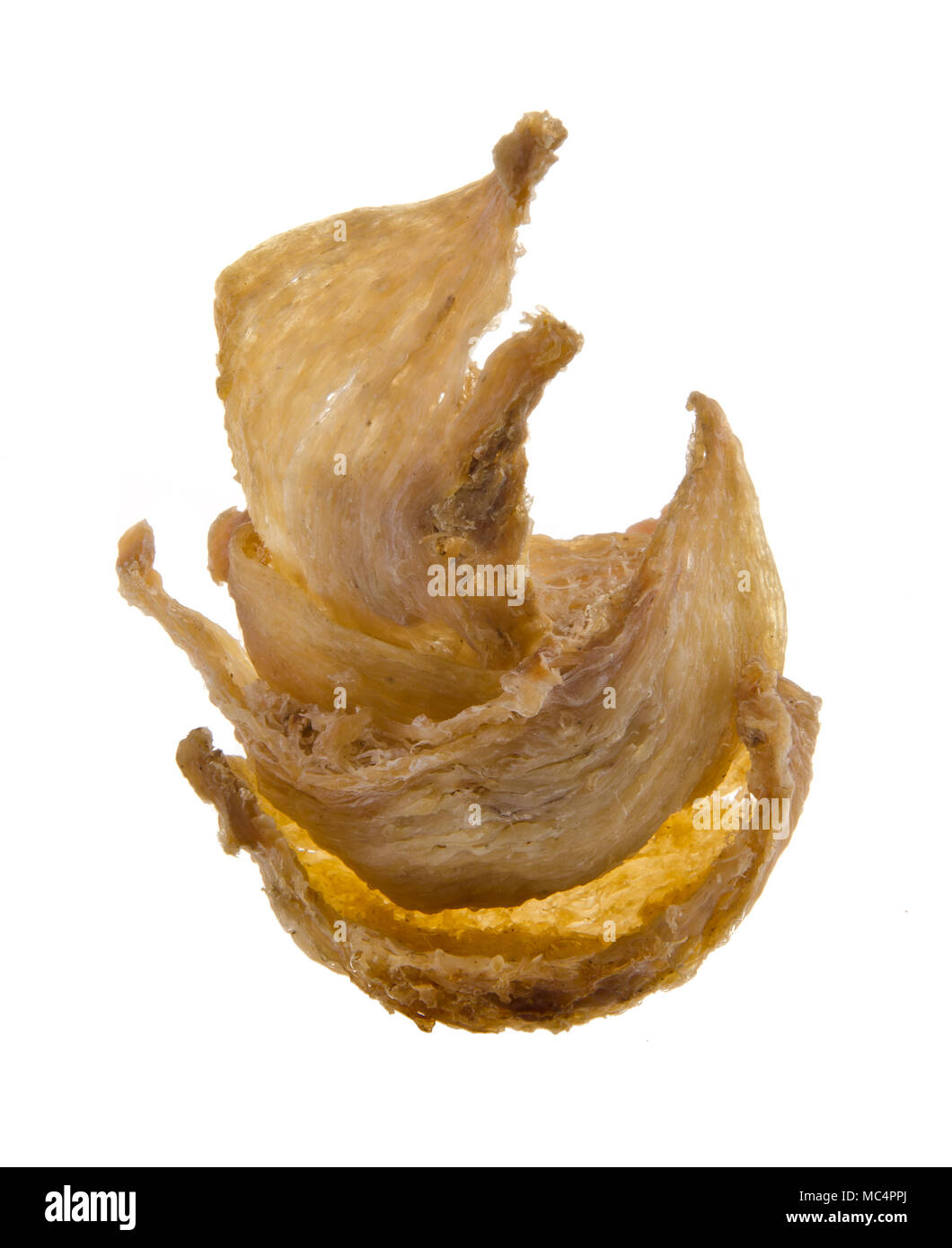 bird's nest. Edible bird's nest close up asia health food Stock Photo