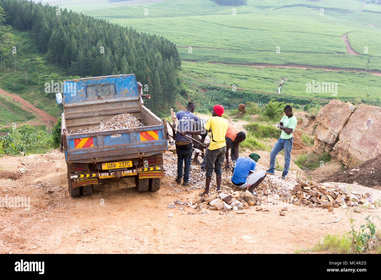 Lugazi, Uganda. June 18 2017. Ugandan male workers shovelling slabs of rock into a lorry (dump truck). Stock Photo