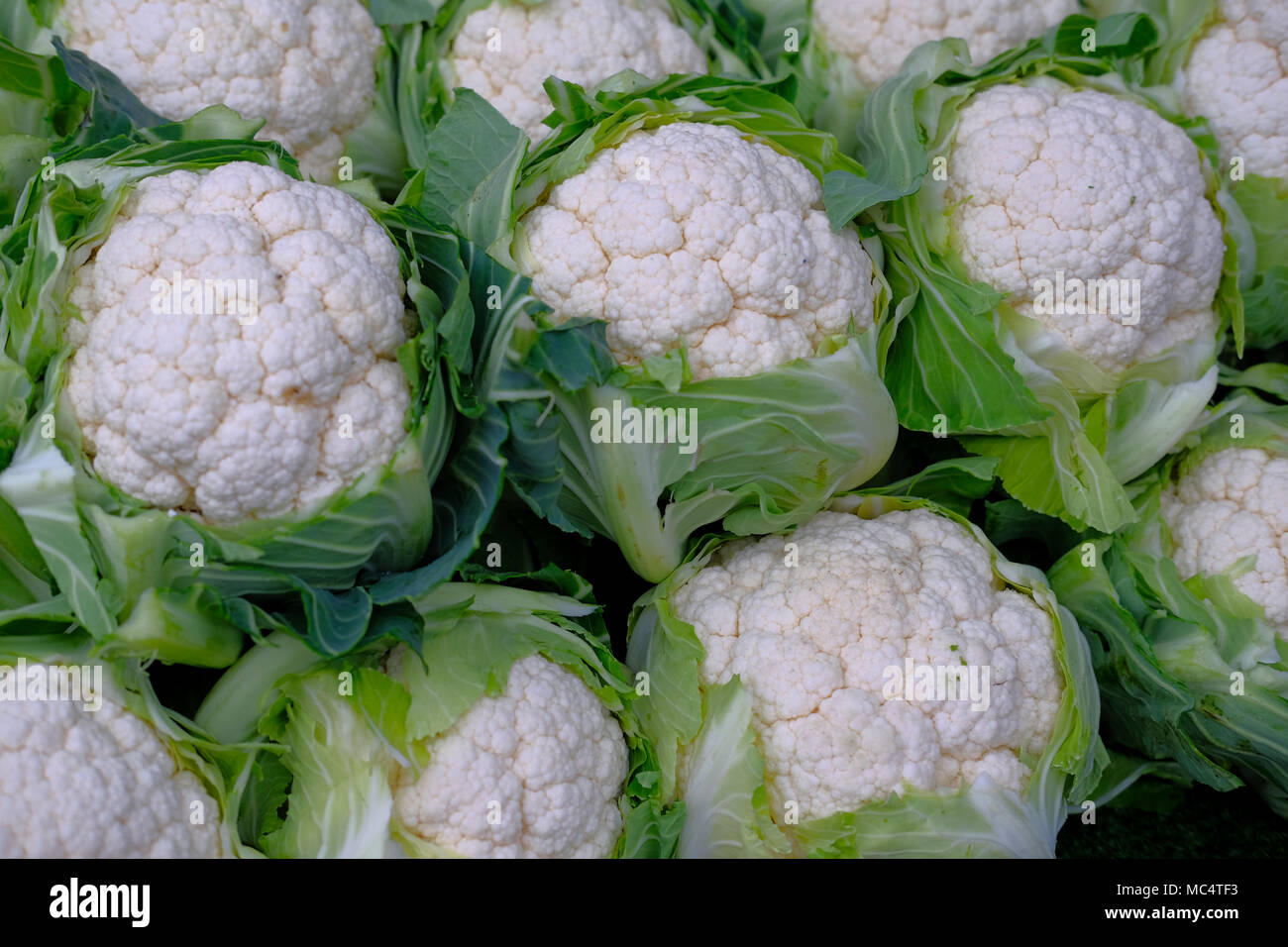 Brassica genus vegetables hires stock photography and images Alamy