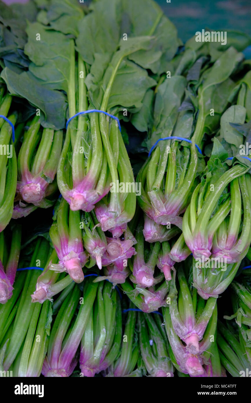 Spinach is an edible flowering plant in the family Amaranthaceae Its