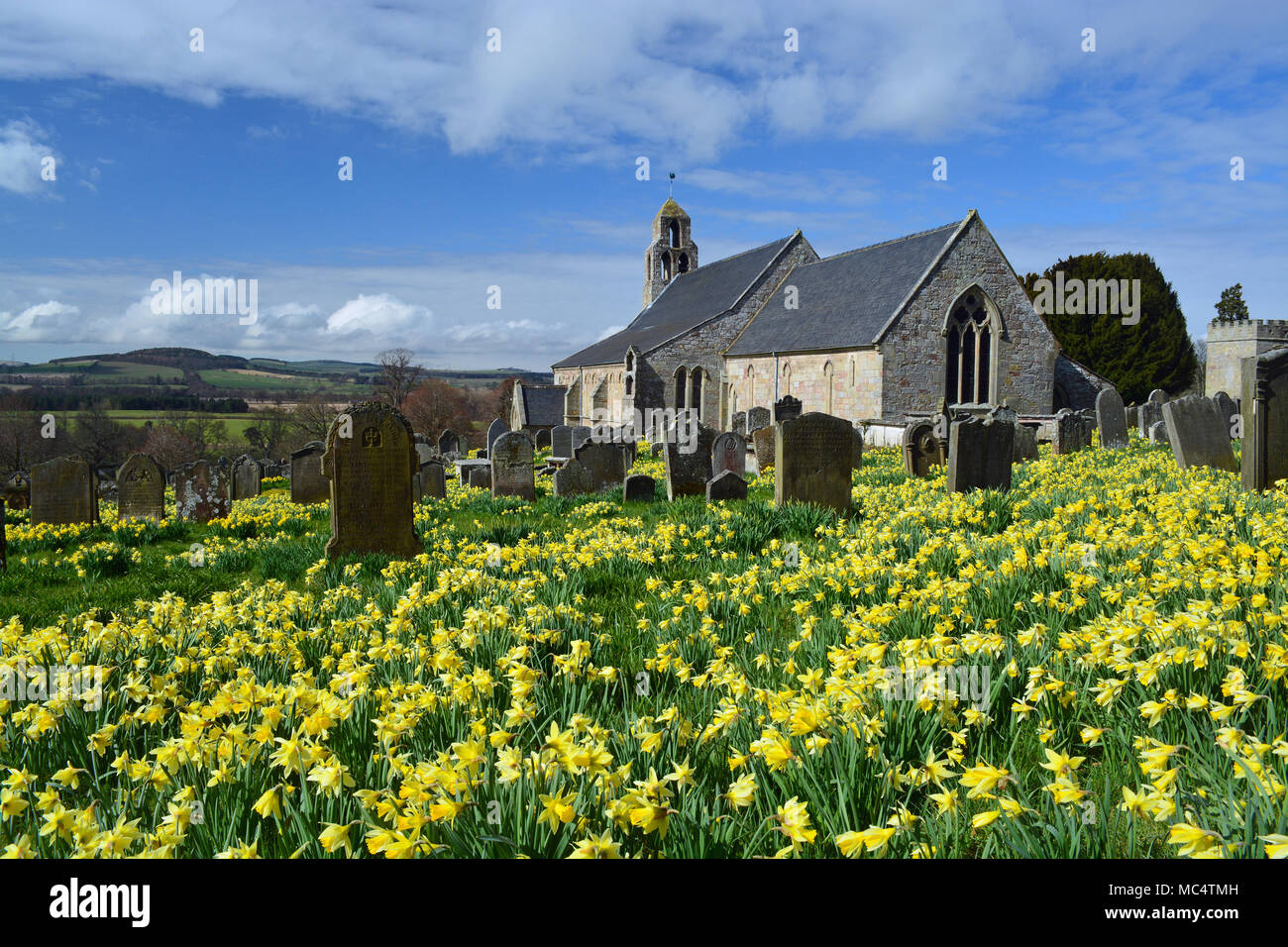 Ford Church with Daffodils, Northumberland Stock Photo Alamy