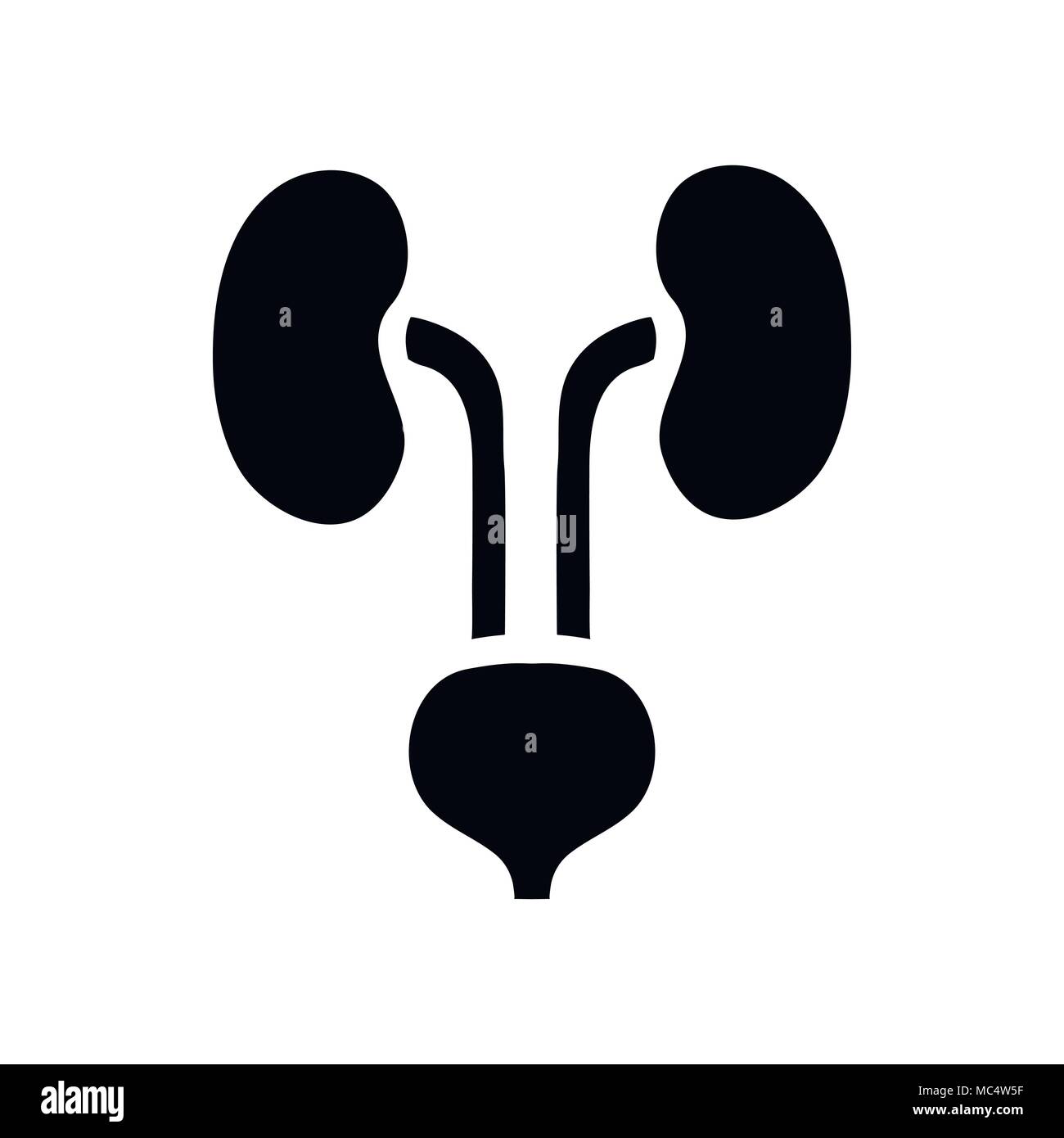 Human kidneys and bladder icon, simple style Stock Vector Image & Art ...