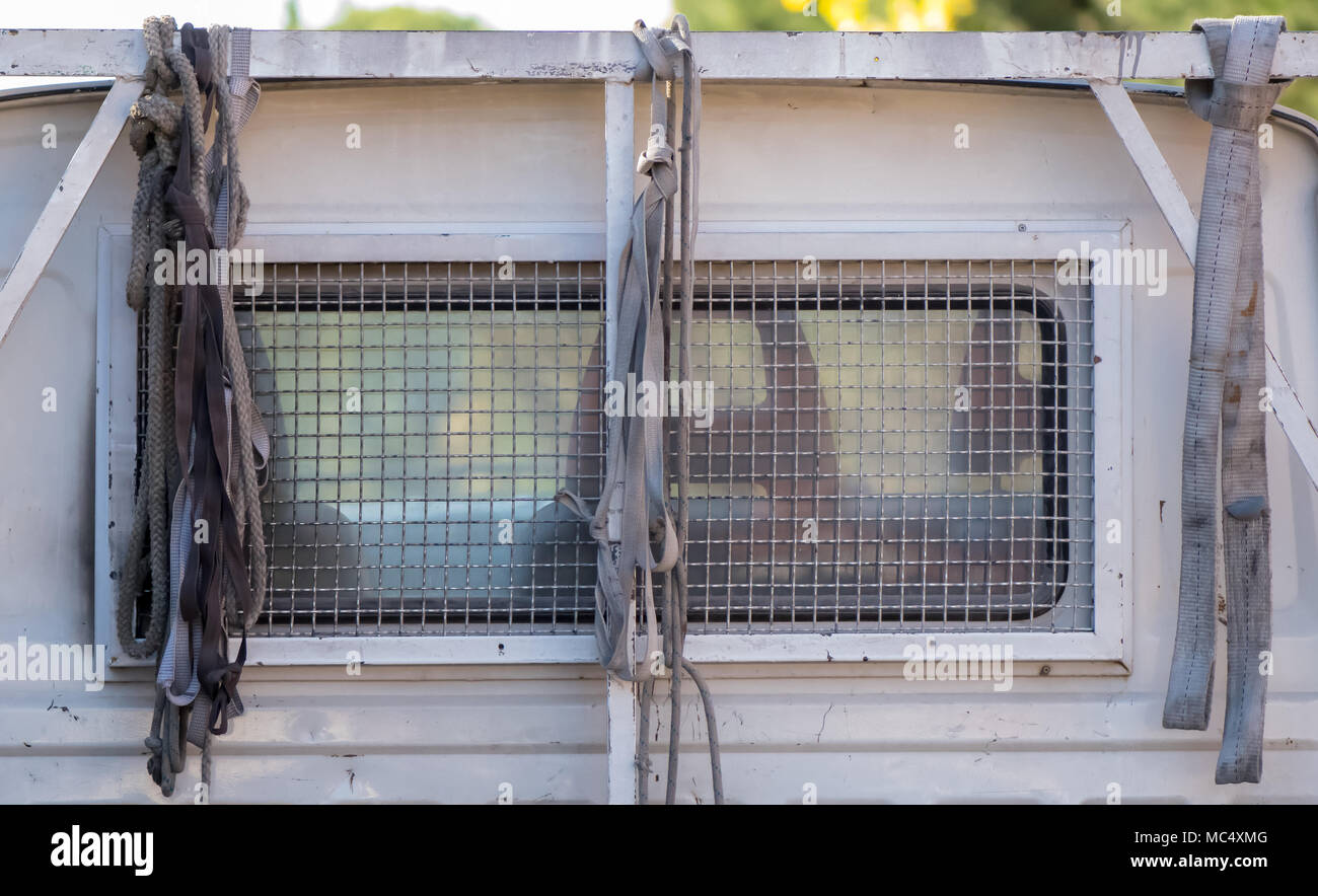 Back window pickup truck hires stock photography and images Alamy